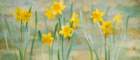42 photo42_small.jpg